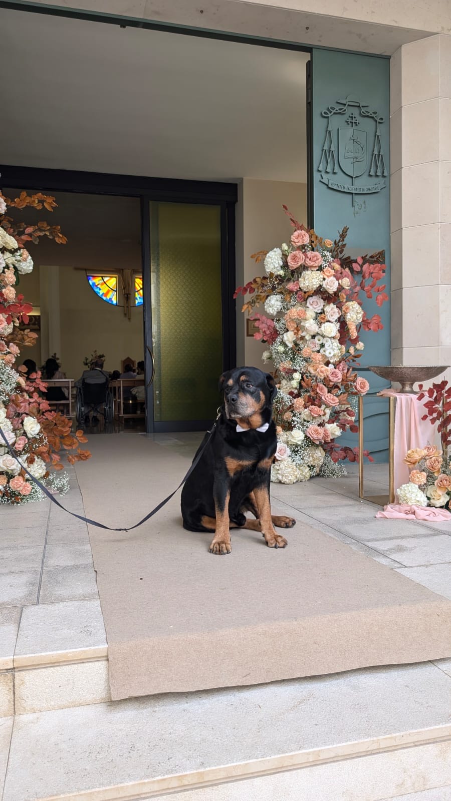Cane con papillon al matrimonio, servizio wedding dog sitting Floky