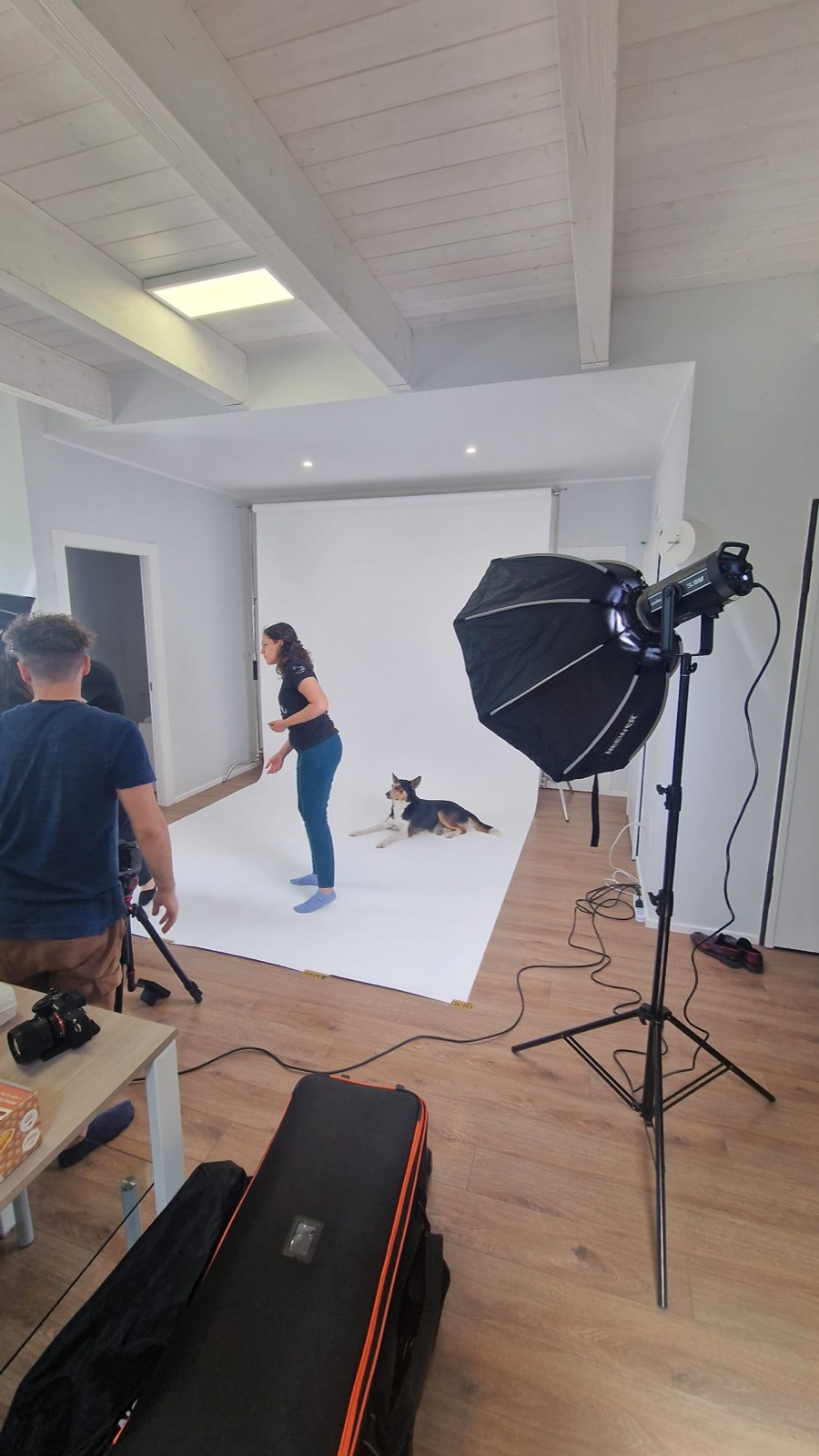 Cane in posa su set fotografico, servizio dog actor e model Floky