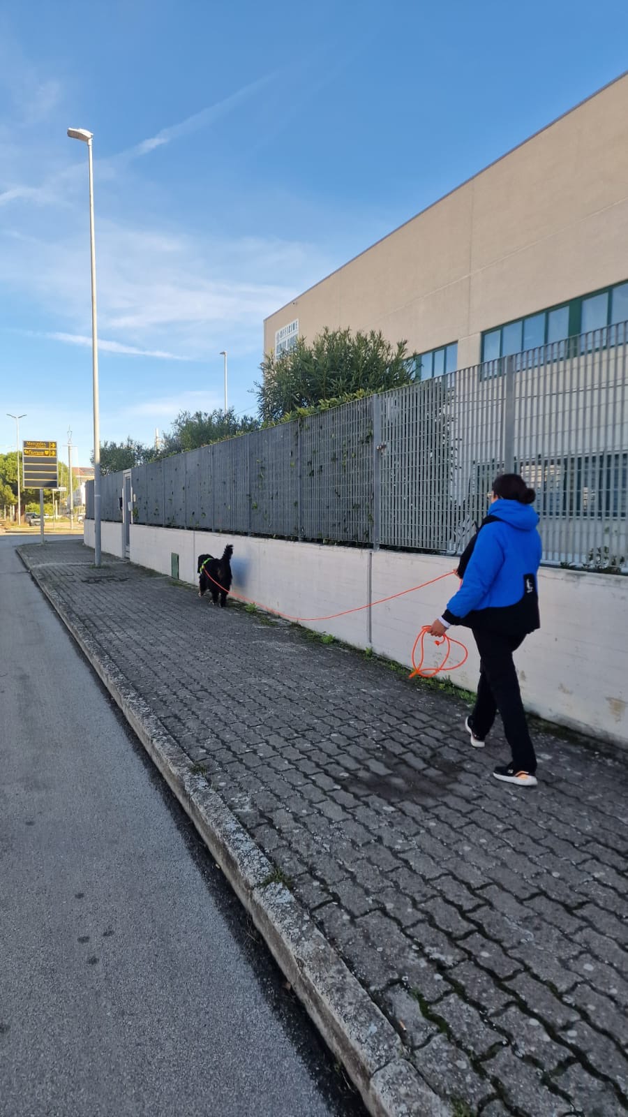 Sessione di mantrailing, ricerca di persone scomparse con il cane